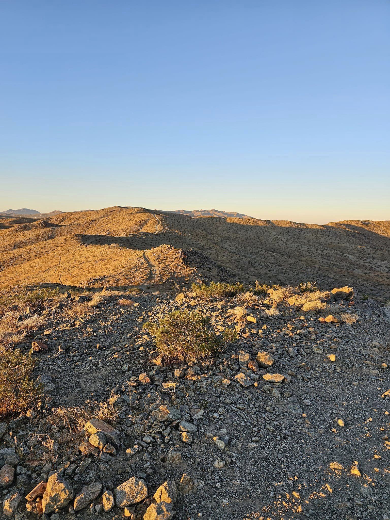 View from the Top